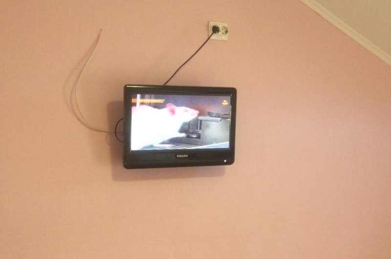 Мини-отель На Неждановой, Волгоград. Фото 18